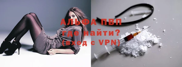 стафф Абаза