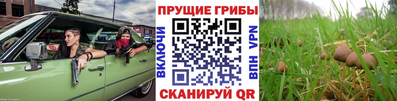 мориарти как зайти  Балаково  Галлюциногенные грибы ЛСД  даркнет сайт 